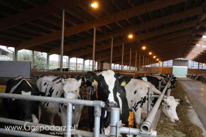 Wyjazd studyjny na farmę Langengrassau w Niemczech