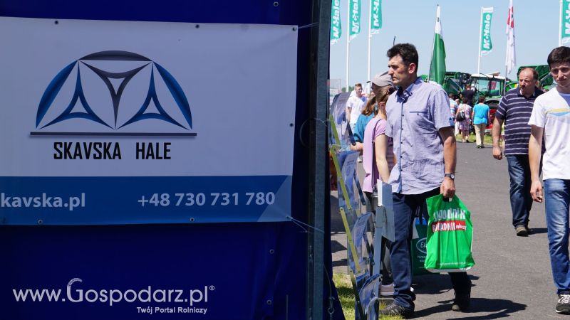 Skavska Hale na ZIELONE AGRO SHOW w Ułężu 2017