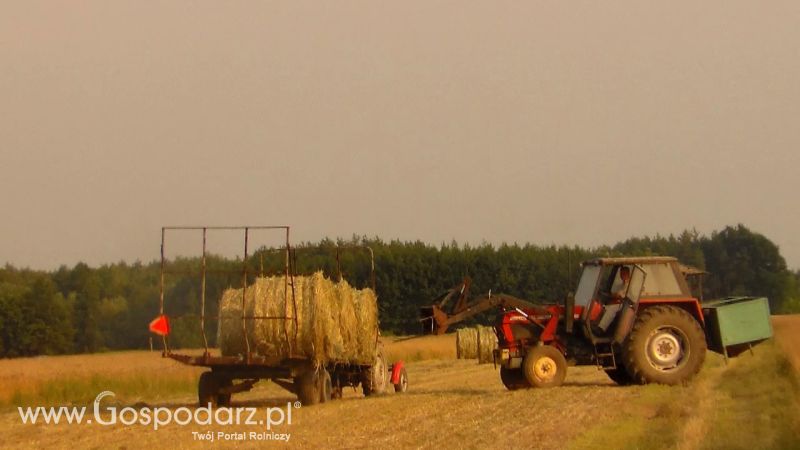 Zbiór Słomy 2013