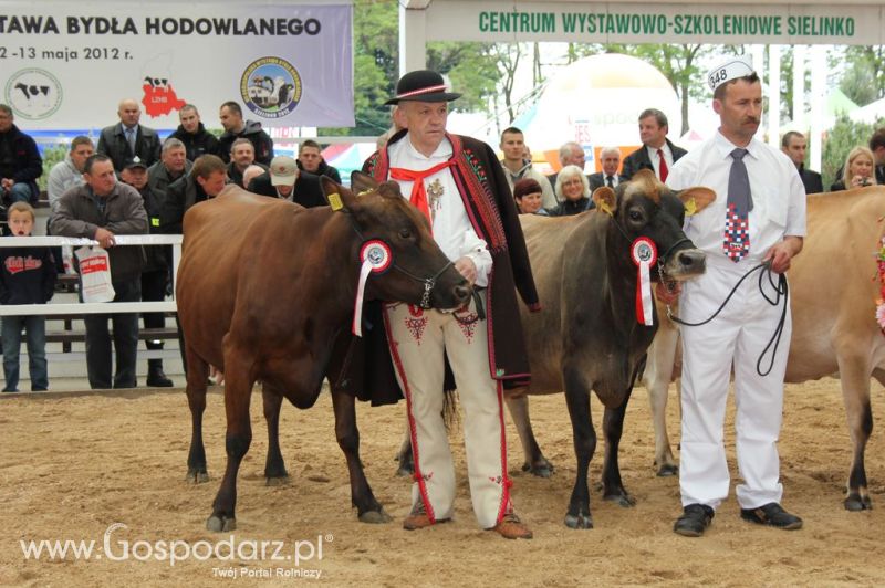 Prezentacja Championów na VII Ogólnopolskiej Wystawie Bydła Hodowlanego w Sielinku 2012