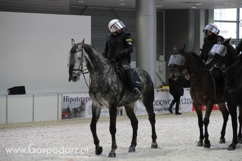 CAVALIADA 2013 w Poznaniu