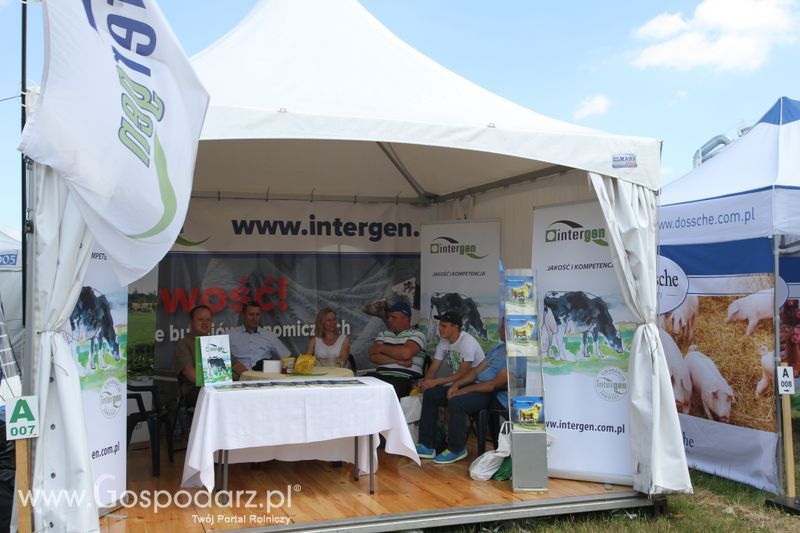 Intergen na OPOLAGRZE 2015