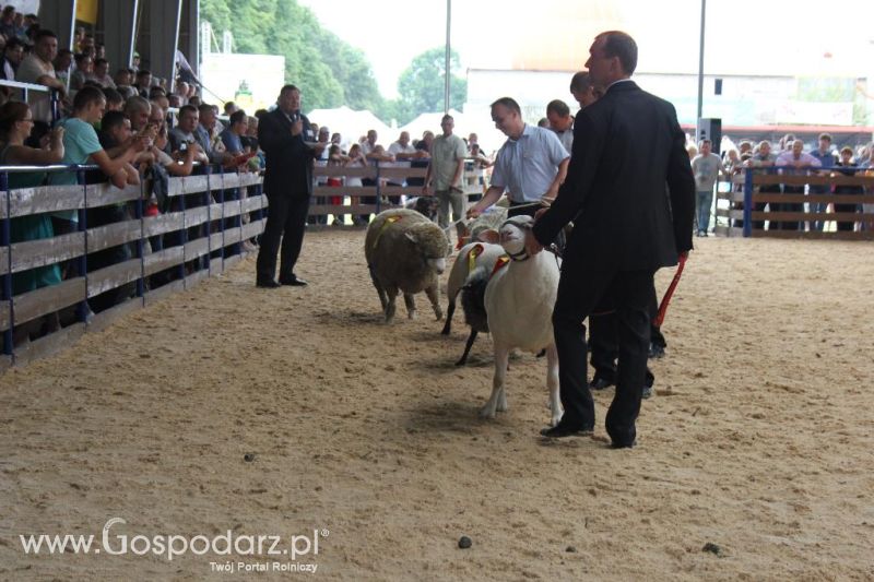 Regionalna Wystawa Zwierząt Hodowlanych i Dni z Doradztwem Rolniczym w Szepietowie-niedziela