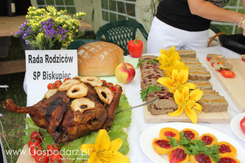 VIII Święto Gęsi - Konkurs kulinarny Najlepsza potrawa z Gęsi