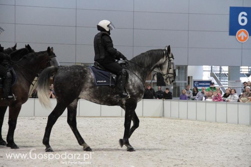 CAVALIADA 2013 w Poznaniu