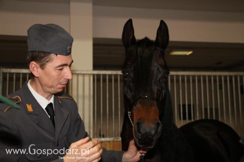 CAVALIADA 2013 w Poznaniu