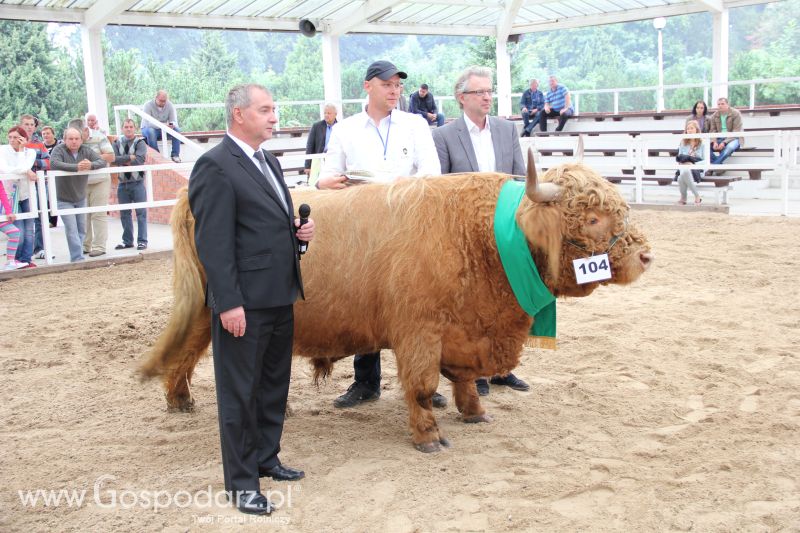 I Krajowa Wystawa Bydła Mięsnego w Sielinku - niedziela