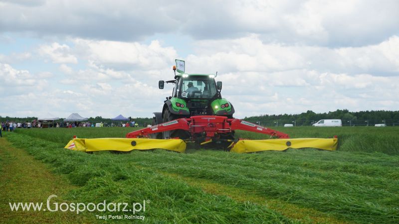 ZIELONE AGRO SHOW 2017 w Ułężu (niedziela, 28 maja)