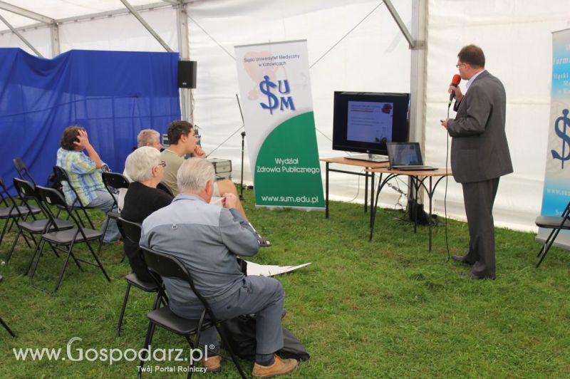 Świętomięs Polski w Chorzowie