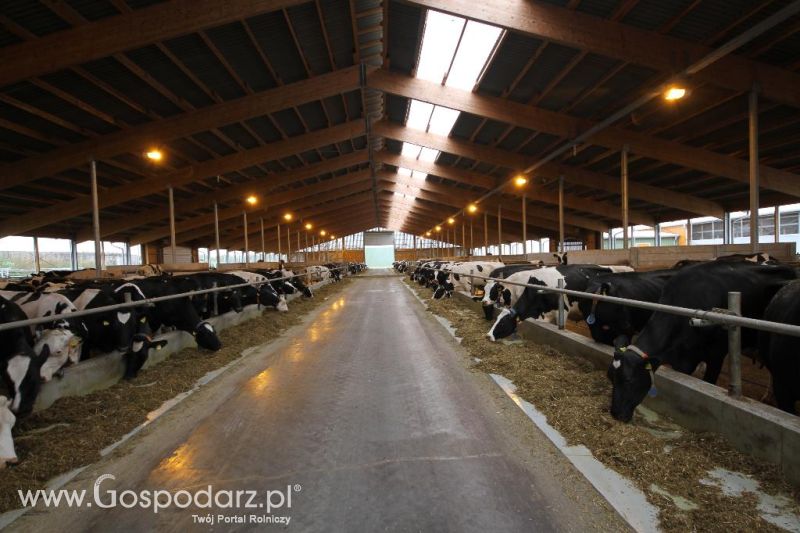 Wyjazd studyjny na farmę Langengrassau w Niemczech