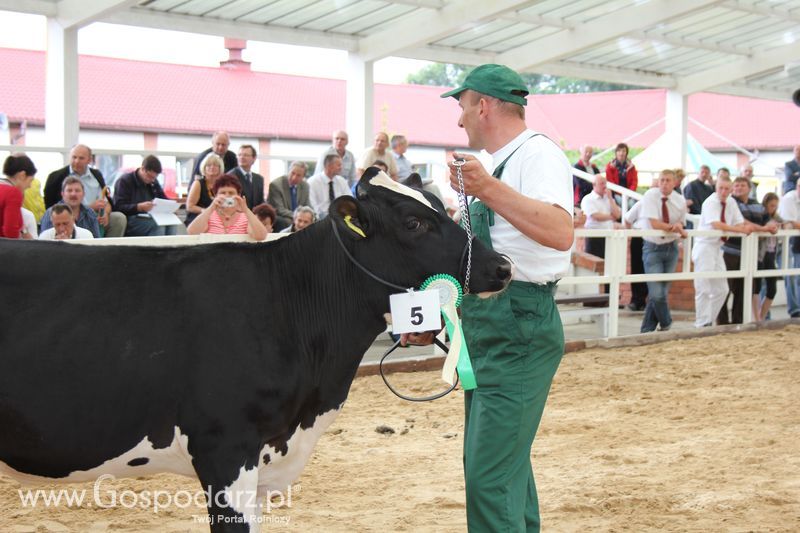 Wystawa bydła Sielinko 2011