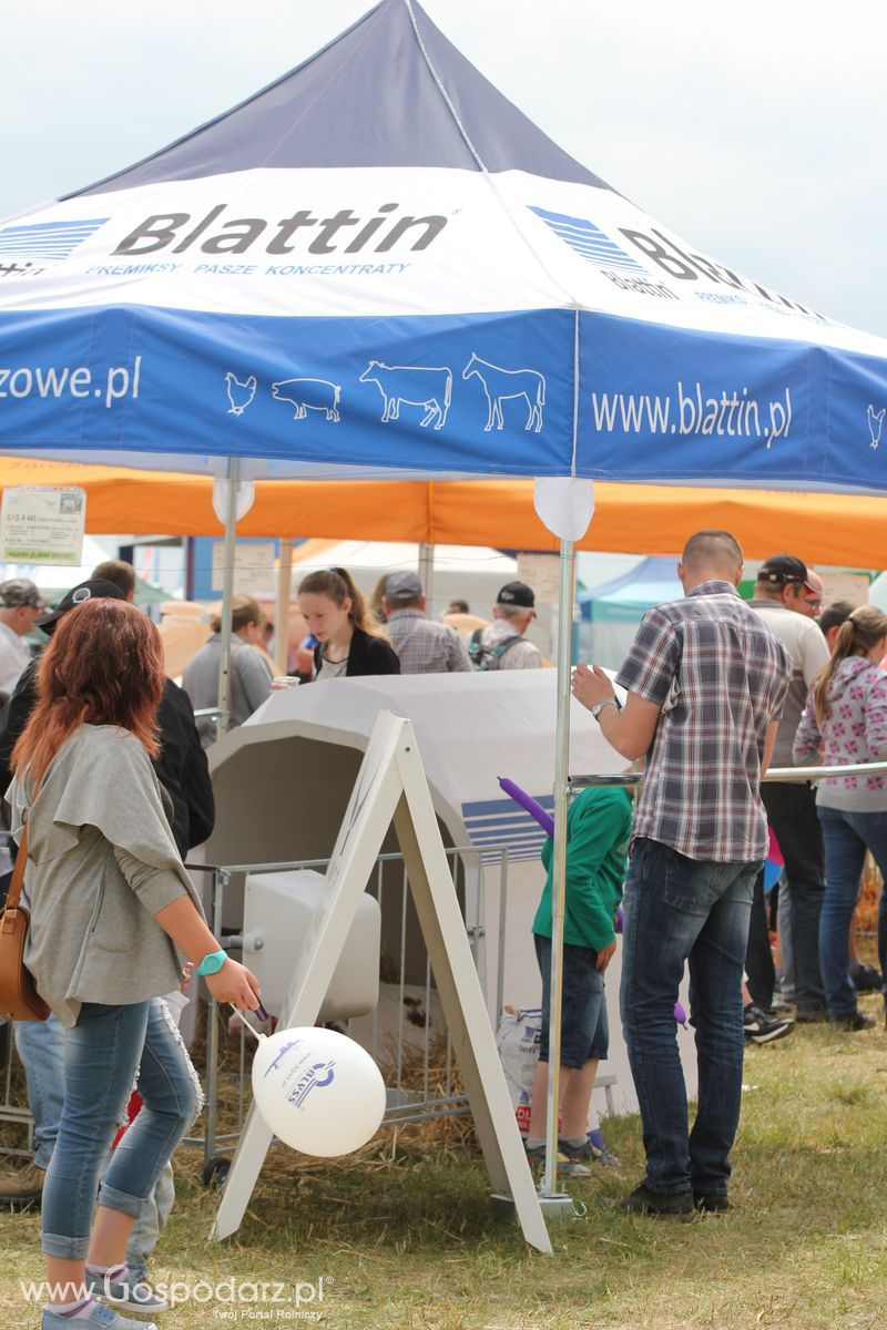 Blattin na OPOLAGRZE 2016