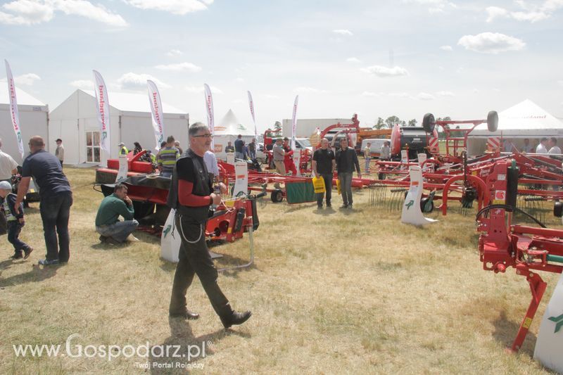 Zielone AGRO SHOW - Polskie Zboża 2015 w Sielinku