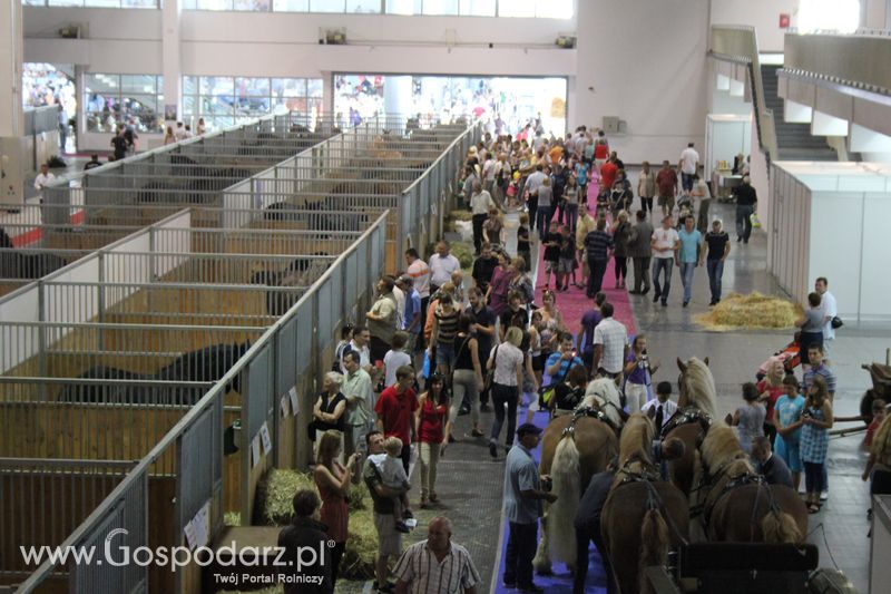 XXV Krajowa Wystawa Zwierząt Hodowlanych Niedziela