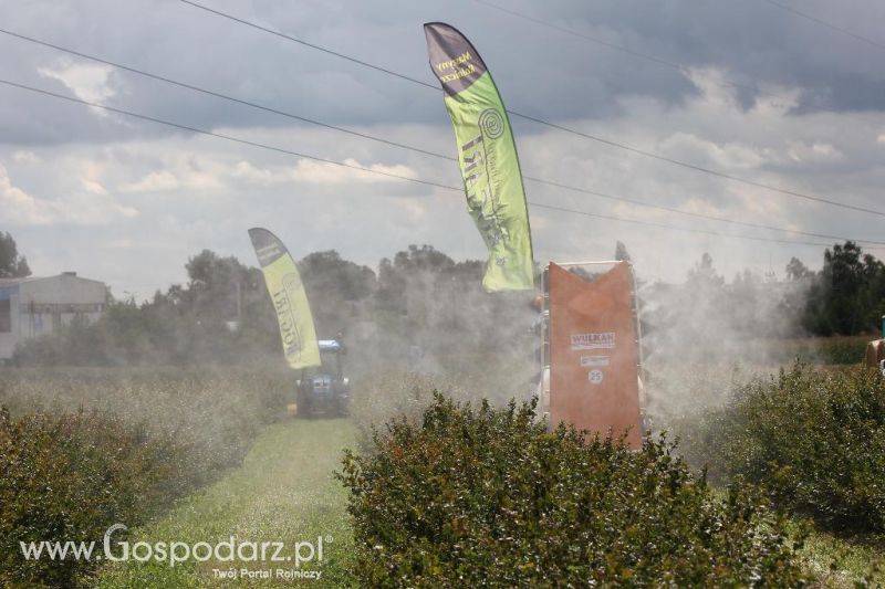 Pokazy Polowe z firmą Bogart