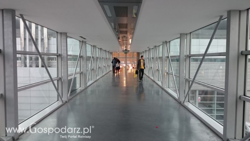 Rodzinny spacer na POLAGRA-PREMIERY 2016 w Poznaniu