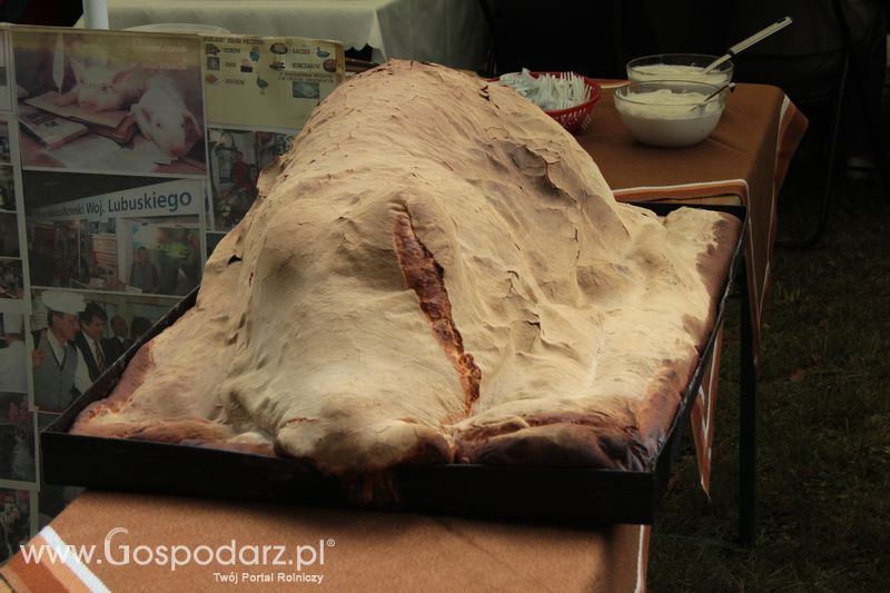  XX Targi Rolnicze Lubniewice