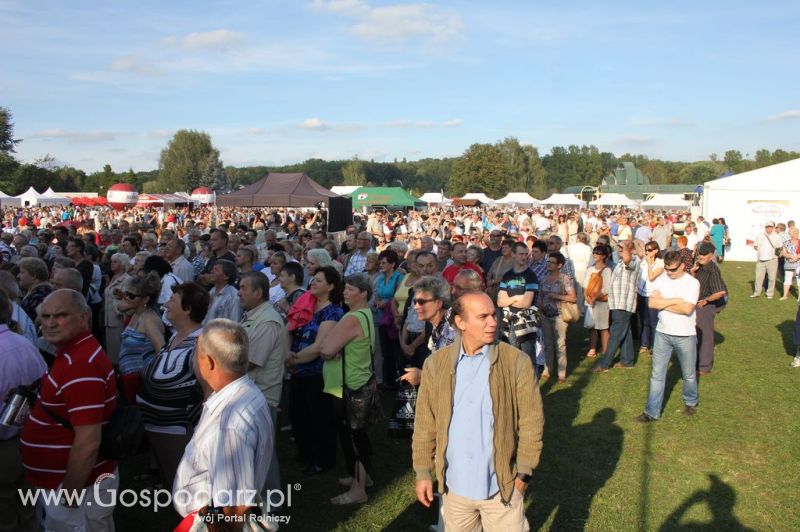 Świętomięs Polski w Chorzowie