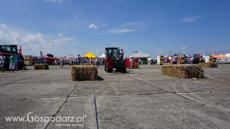 Pokazy polowe podczas targów OPOLAGRA 2015