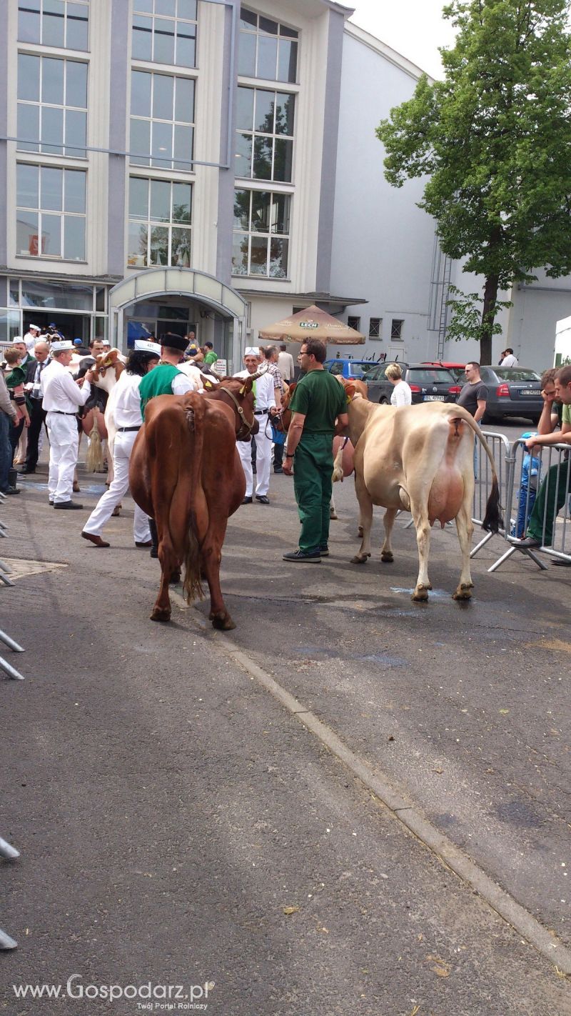 KWZH 2015. Bliskie spotkania ze zwierzętami hodowlanymi