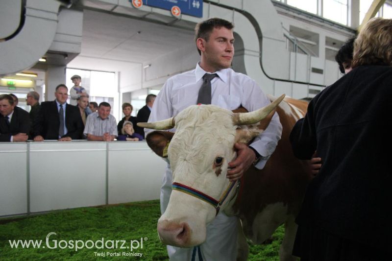 XXVI Krajowa Wystawa Zwierząt Hodowlanych - sobota i niedziela