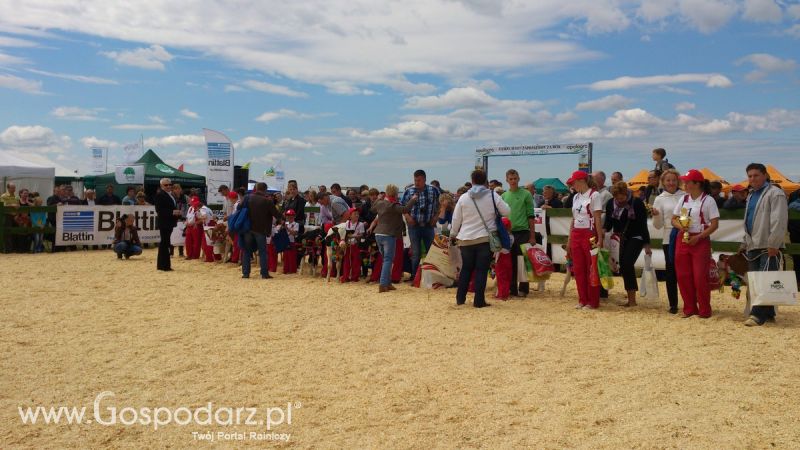 Opolagra 2014 okiem Redaktora Portalu Gospodarz.pl