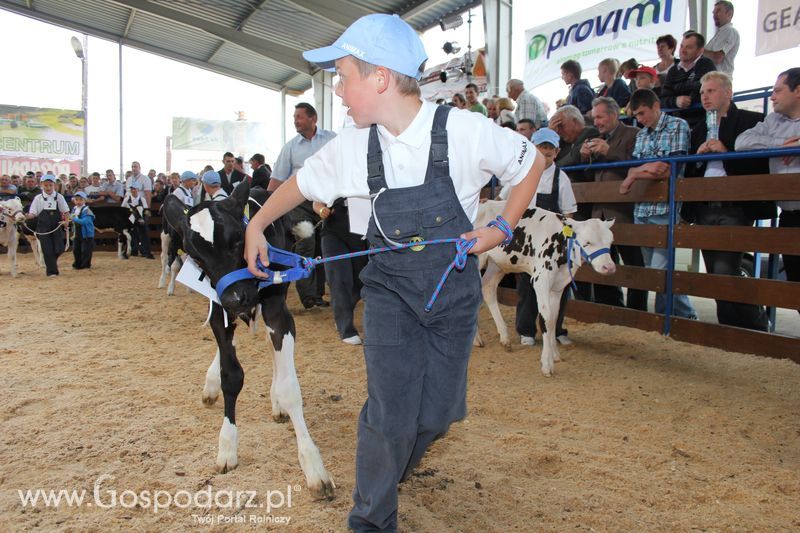 Młody hodowca na XVIII Regionalnej Wystawie Zwierząt Hodowlanych w Szepietowie