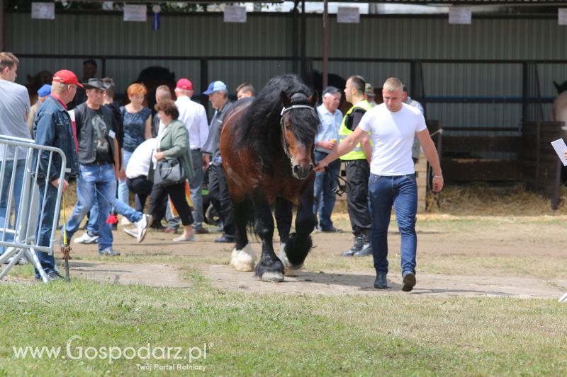 Regionalna Wystawa Zwierząt Hodowlanych i Dni z Doradztwem Rolniczym w Szepietowie 2017