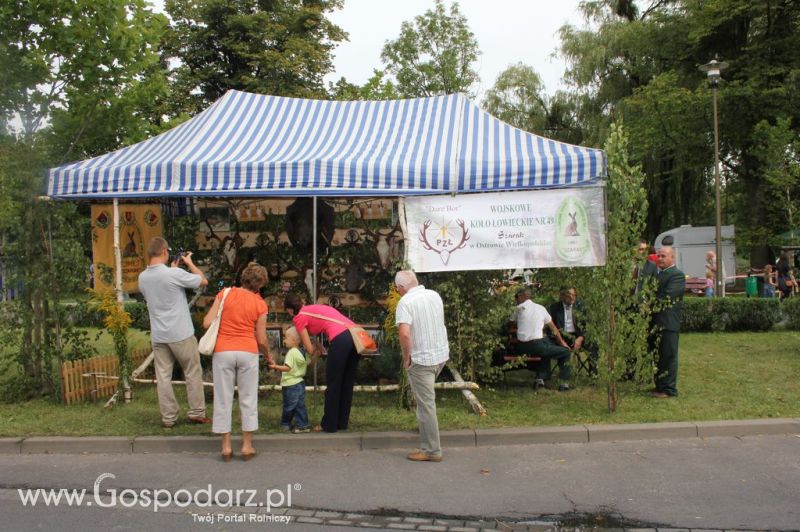 XIV Wojewódzko-Diecezjalne Dożynki Wielkopolskie w Ostrowie Wielkopolskim