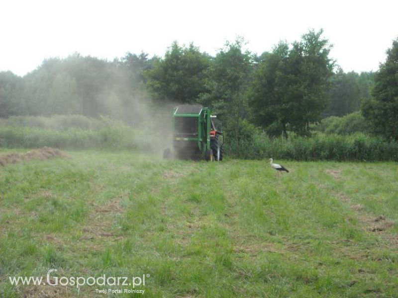 zbieranie siana 2012 ursusem c330m i 1014 de luxe