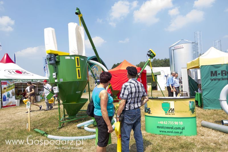 M-Rol na OPOLAGRZE 2015