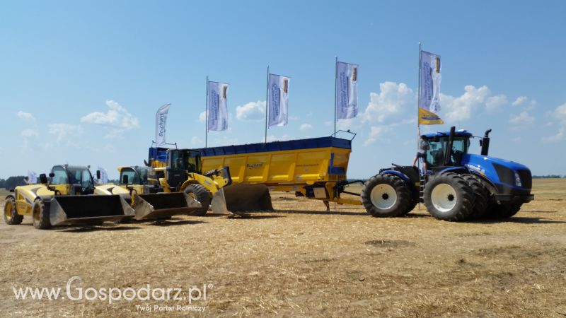 Rozrzutnik Brochard Pobił Rekord Guinessa