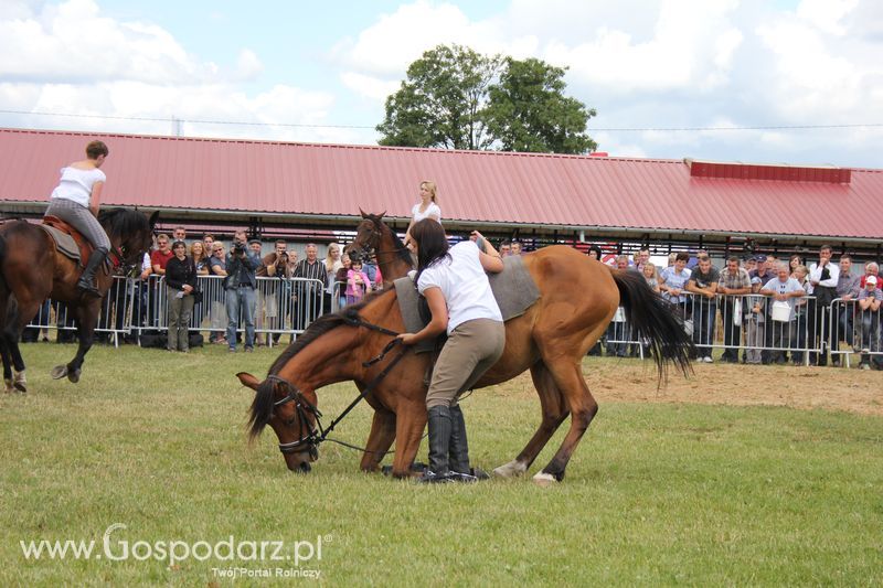 XVIII Regionalna Wystawa Zwierząt Hodowlanych i Dni z Doradztwem Rolniczym w Szepietowie - Sobota
