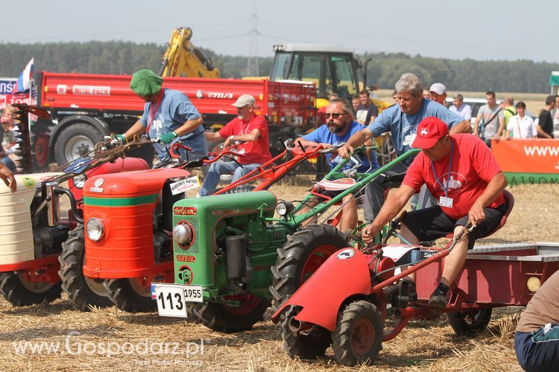 Targi Roltechnika w Wilkowicach 2015