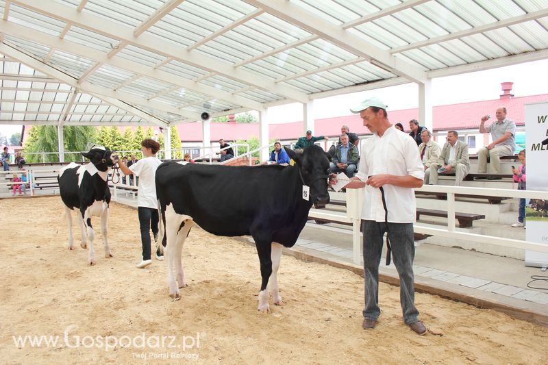 Wystawa bydła Sielinko 2011