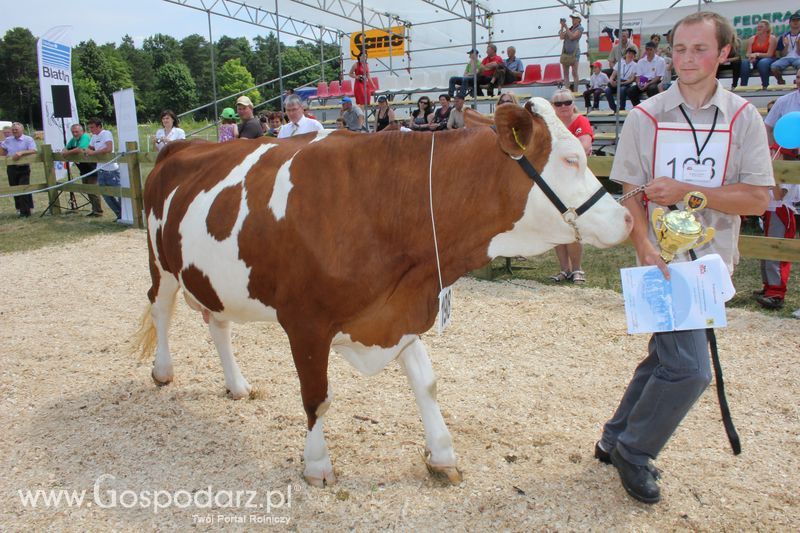 Superchampioni i championi Śląskiej Wystawy Bydła Mlecznego Opolagra 2011
