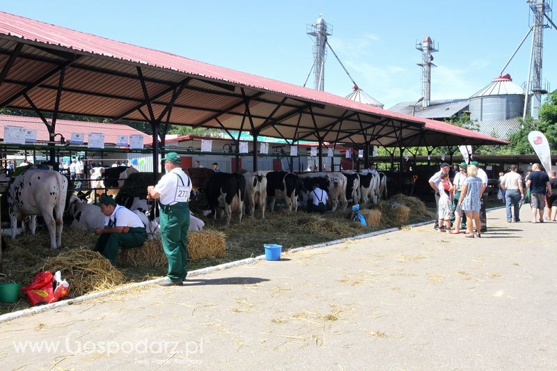 Wystawa zwierząt w Szepietowie