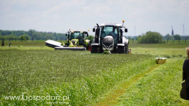 ZIELONE AGRO SHOW 2017 w Ułężu (niedziela, 28 maja)