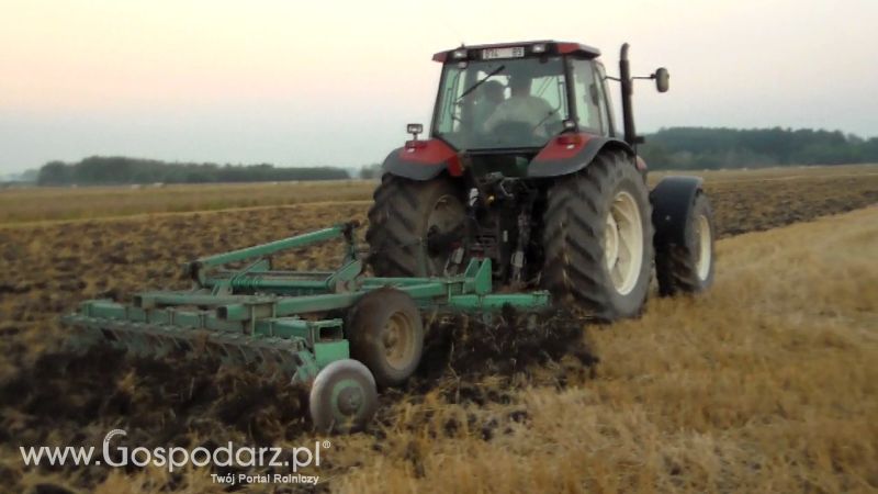 Talerzowane 2013 