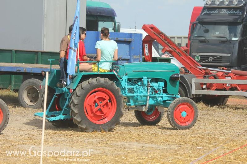 XII Festiwal Starych Ciągników im. Jerzego Samelczaka w Wilkowicach 2013 - niedziela