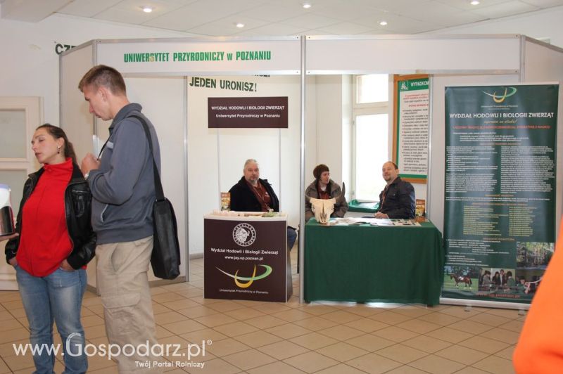 VII Ogólnopolska Wystawa Bydła Hodowlanego - Sielinko 2012