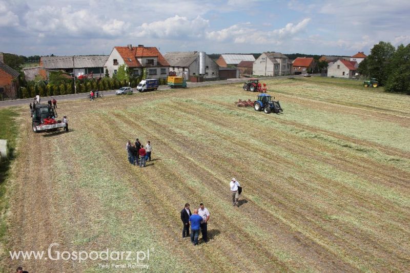 Pokazy polowe Romanów k/Krotoszyna