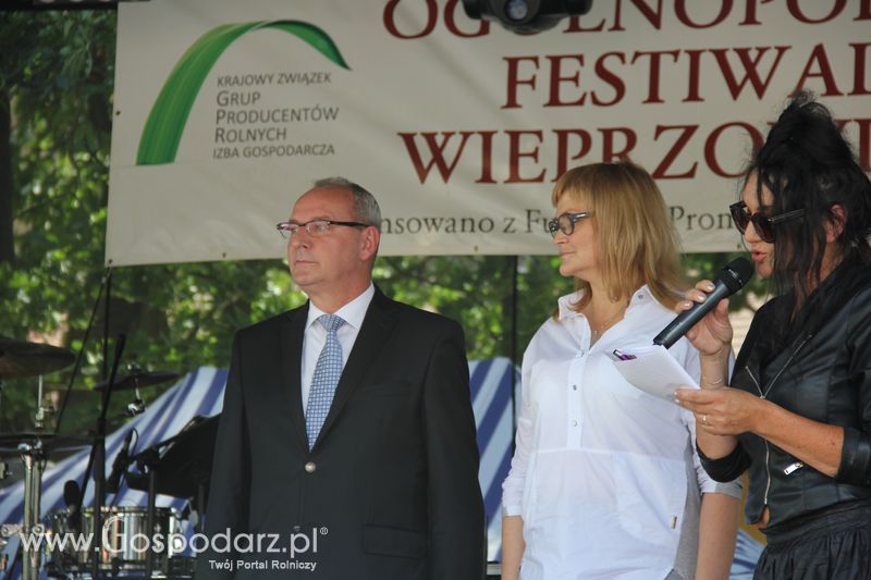 IV Ogólnopolski Festiwal Wieprzowiny - Koźmin Wlkp 2016