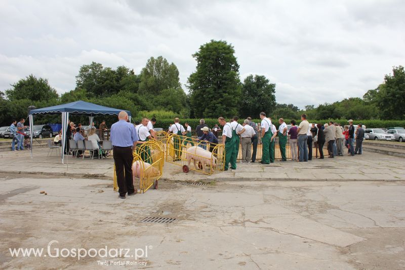 Wielkopolskie Targi Rolnicze „Sielinko 2011”  - Sobota