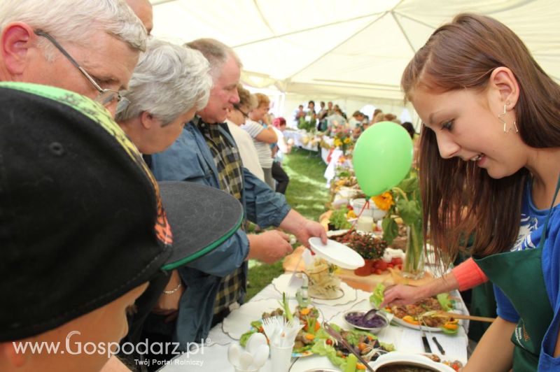 IX Święto Gęsi w Biskupcu