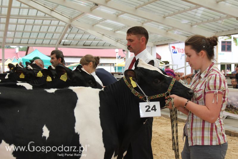 Wystawa bydła Sielinko 2011