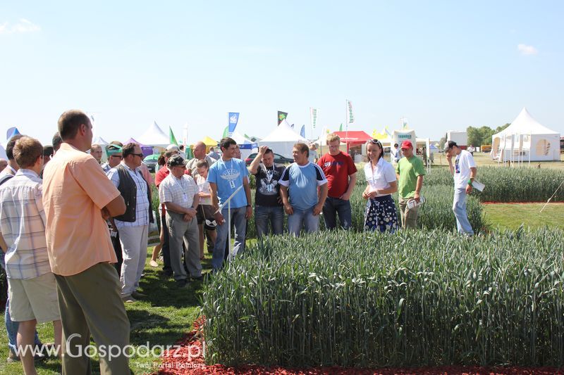 Polskie Zboża 2011 - Sobota