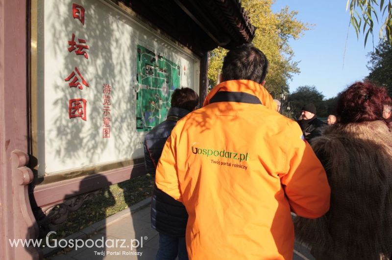 Gospodarz.pl w Chinach