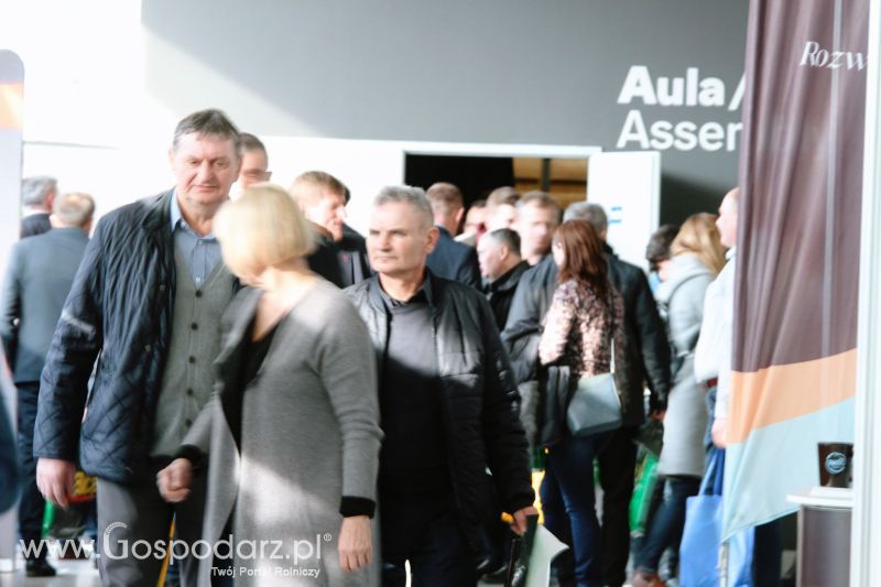 Ferma 2019 dzień 1