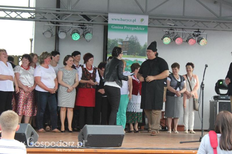 Święto Kaczki w Przygodzicach